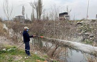 İnönü Belediyesi larva ilaçlama çalışmalarını...