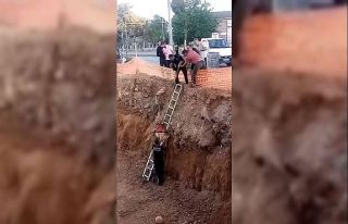İnşaat çukurunda mahsur kalan köpek itfaiye operasyonuyla...