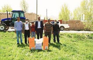 İpekyolu Belediyesinden çiftçiye tohum desteği