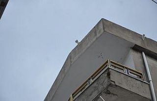 İtfaiyeden 1 saatte 2 kedi operasyonu