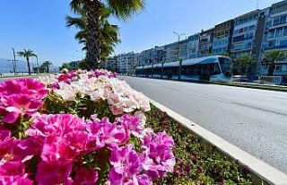 İzmir çiçek açtı
