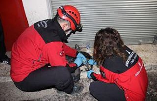 İzmir’de iş yerinde çıkan yangında mahsur kalan...