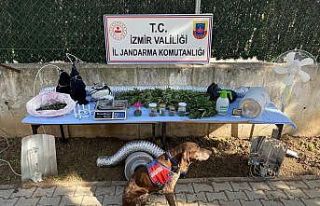 İzmir’de jandarmadan zehir baskınları: 3 tutuklama