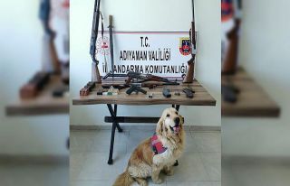 Jandarma silah ele geçirdi