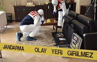 Jandarma timleri 96 hırsızlık olayını aydınlattı