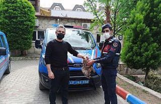 Jandarma yaralı Baykuş’u DKMP ekiplerine teslim...