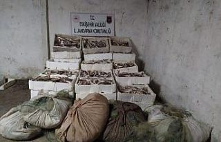 Kaçak balık avcılarına 31 bin 320 TL para cezası