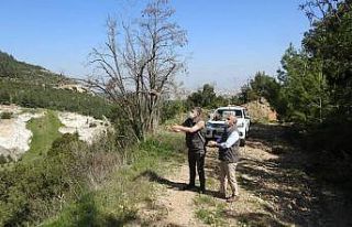 Kaçak keklik avcısı jandarmanın tuzağına düştü