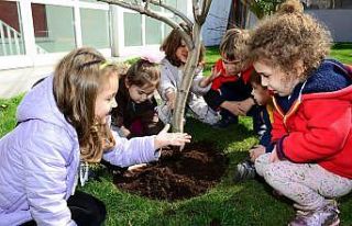 Kadıköy’de kahve posası çiçeklere can verdi