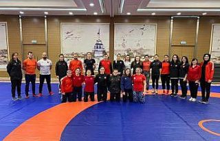 Kadın Güreş Milli Takımı, Avrupa Şampiyonası...