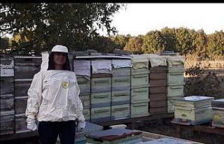 Kadın üreticinin 50 bin TL değerindeki kovanlarını...
