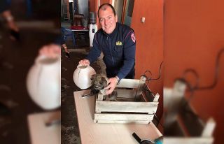 Kafası abajur başlığına sıkışan köpeğin...