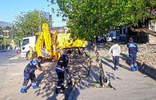 Kahramanmaraş’ta temizlik