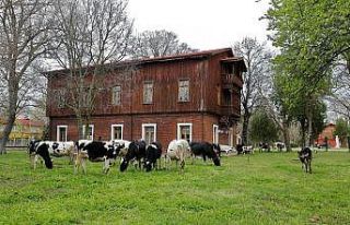 Kampüslerde biyoçeşitlilik baharı