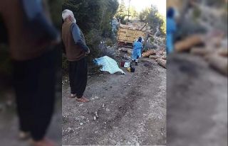 Kamyon ile ağaç arasında sıkışan sürücü hayatını...