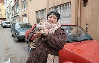 Kaplarda naftalin görünce mahkemeye başvurdu