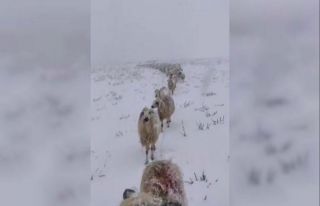 Kar yağışını sosyal medya hesabından canlı...