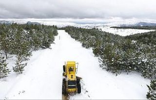 Karabük, kışın görmediği karı baharda gördü