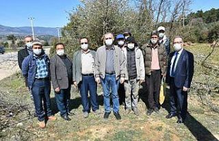 Karacasu’da 12 bin ahlat ağacı aşılanıyor