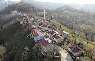 Karadeniz fıkrası gibi mahalle: Komşular 2 dakika...