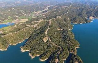 Karaisalı ormanları havadan izleniyor