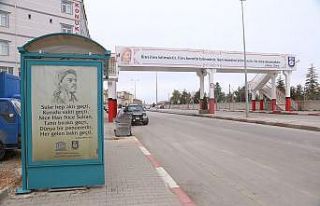 Karaman’da Yunus Emre ve Türkçe Yılı çalışmaları