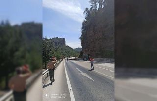 Karayoluna düşme tehlikesi bulunan ağaçlar kesildi