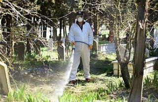 Karesi’de mezarlık ve boş arazilerdeki otlar temizlenip...