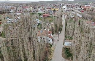 Kargalar mahallenin kabusu oldu