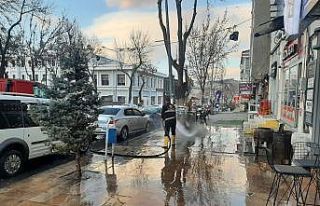 Kars’ta belediyeden bahar temizliği