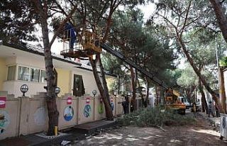 Kartal Belediyesi Park ve Bahçeler Müdürlüğü’nden...