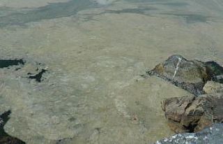 Kartal’da başlayan deniz salyası istilası Pendik...