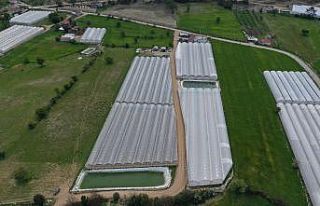 Kaş Ahatlı’da 5 kilometrelik yol çalışması