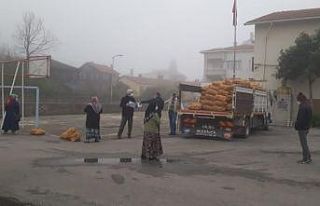 Kastamonu’da ücretsiz 53 ton patates ihtiyaç sahiplerine...