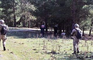 Katil zanlısı 100 komando ve drone ile aranıyor