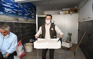 Kayseri’de kaçak sazan ve yayın balığı ele...