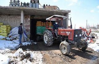 Kayseri’deki patatesler 81 ile gönderiliyor