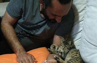 Kediyi sahiplenene 1 yıl boyunca ücretsiz jimnastik...