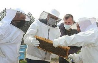 “Kırklareli Arı Islah Projesi” yerinde incelendi
