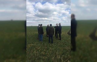 Kırklareli’nde buğday arazileri incelendi