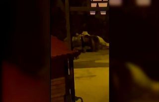 Kış uykusundan uyanan aç ayı Uzungöl merkezine...