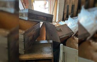 Kış uykusundan uyanan ayılar kovanları parçaladı