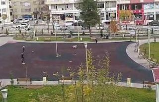 Kısıtlamada sokağa çıkan çocuklar, parkta köpekle...