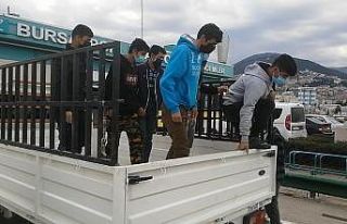 Kısıtlamada yakalanan 8 kaçak göçmen, düğüne...