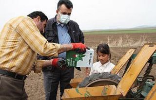 Kısıtlamadan muaf olan çiftçiler tarlada