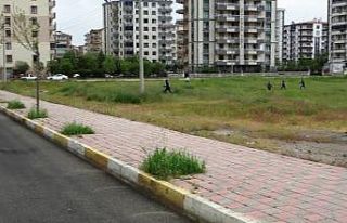 Kısıtlamayı delen gençler siren sesini duyunca...