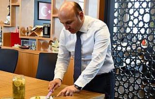 Kivili komposto, sirke ve turşuya tam not