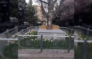 Kızılcahamam rengarenk