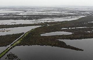Kızılırmak Deltası eski haline döndü