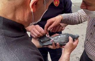 Klima motorunda mahsur kalan güvercin kurtarıldı